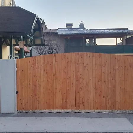 Sonnenblume * קלגנפורט