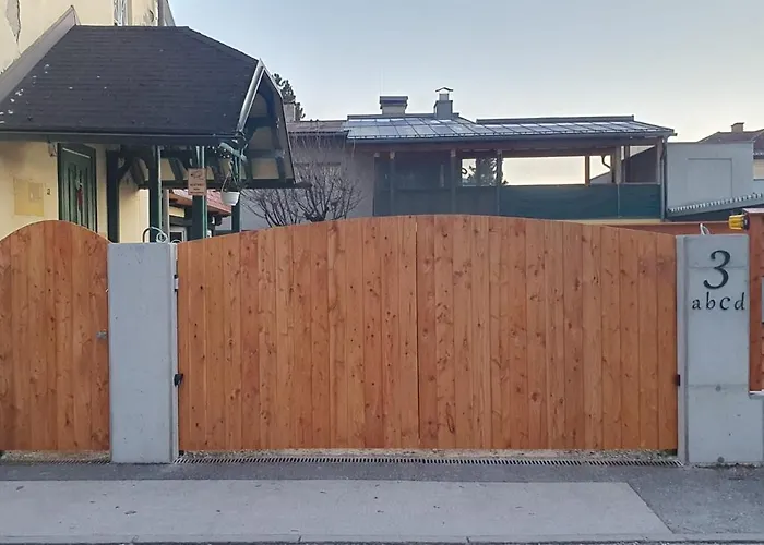 Sonnenblume * קלגנפורט